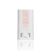 Stick Antifrizz Cheer – Cera Modeladora Pefumada com Proteção Térmica – 16g