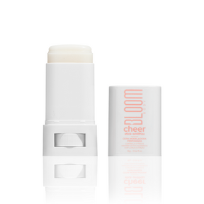 Stick Antifrizz Cheer – Cera Modeladora Pefumada com Proteção Térmica – 16g